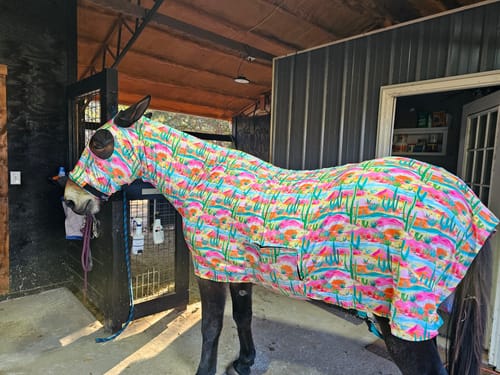 Customer photo review of NEON CACTUS STRETCHIE