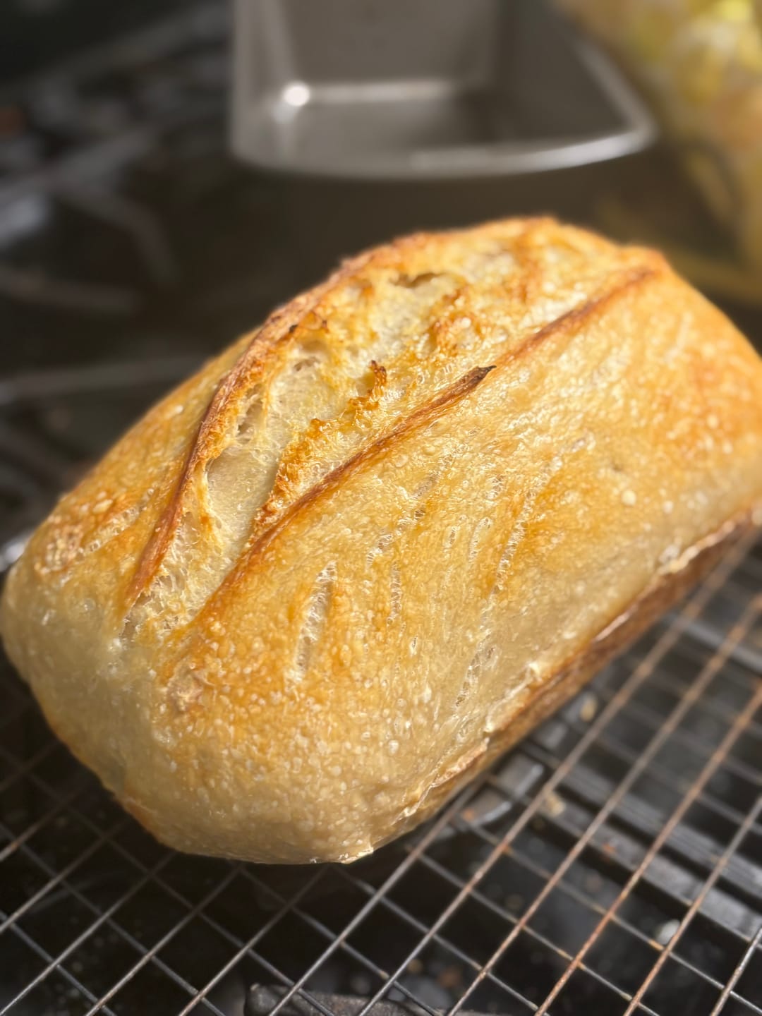 Customer photo review of Sourdough Recipe Bundle: A Collection Of 5 Our Most Viral & Requested Recipes!