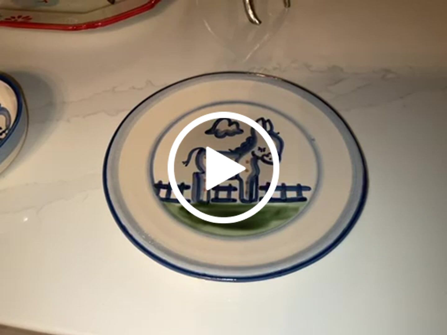 Customer video review of Lunch Plate