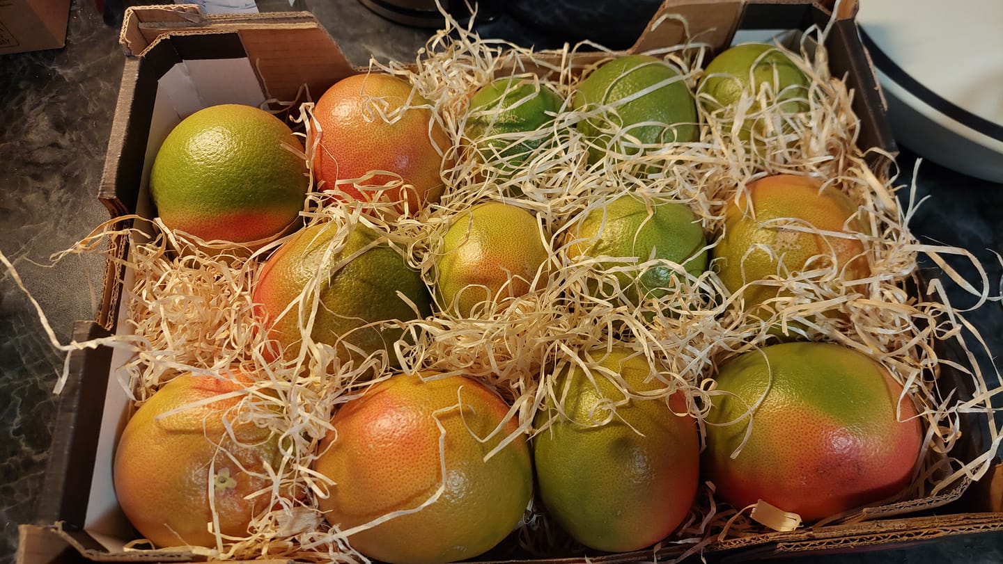 Customer photo review of Grapefruit rose Bio von Andres Sparpreis-Box %