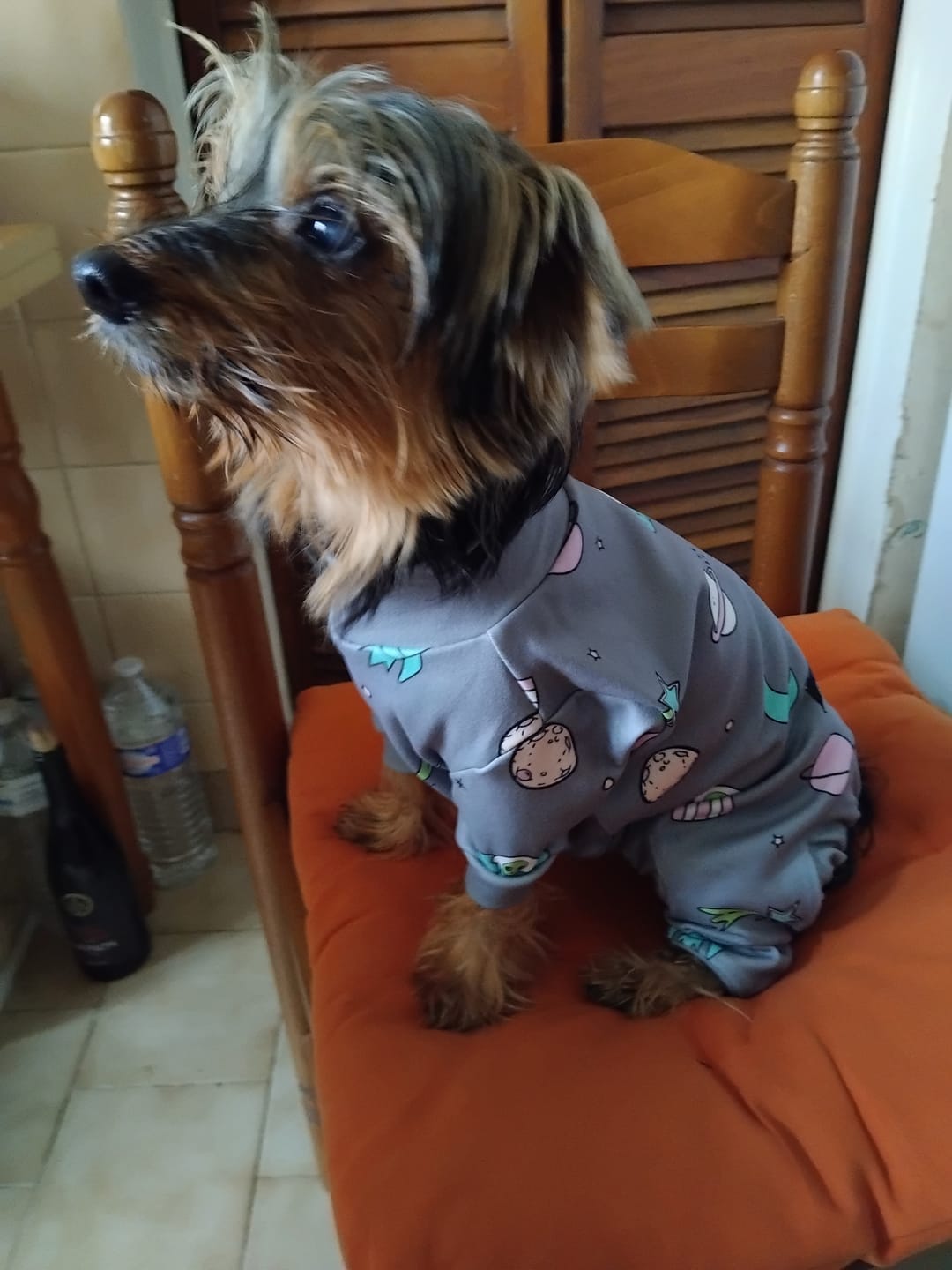 Customer photo review of Dog Pajama - Alien