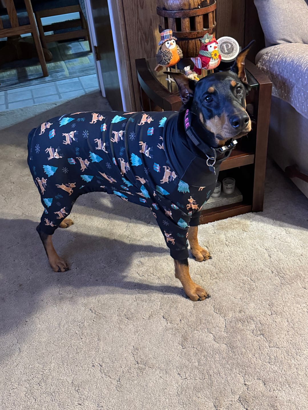 Customer photo review of Dog Christmas Pajama - Reindeers