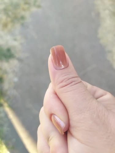 Customer photo review of Solid Builder Gel Kit