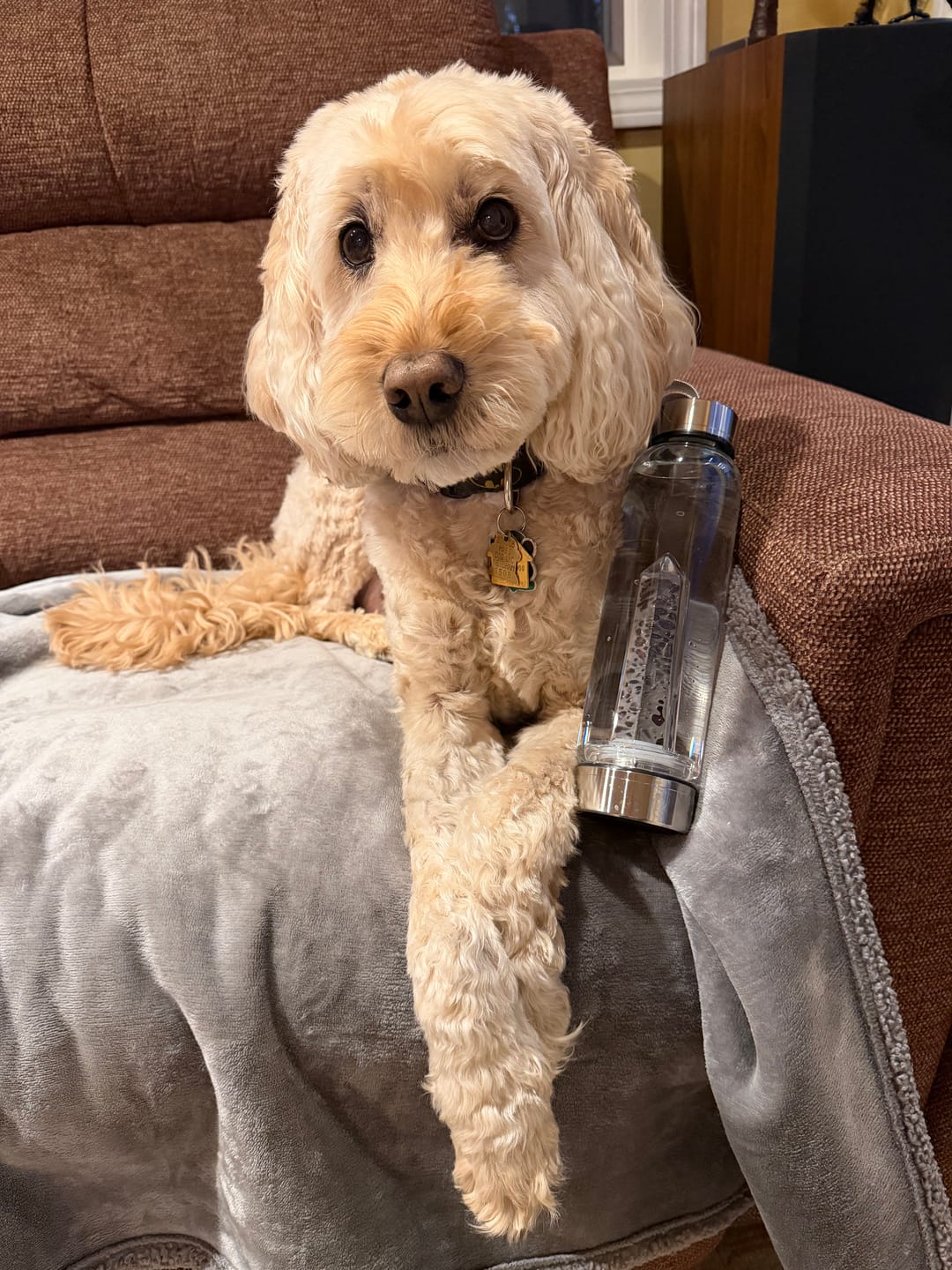 Customer photo review of Crystal Elixir Water Bottle