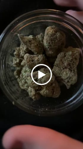 Customer video review of Gorilla Glue THCA Flower