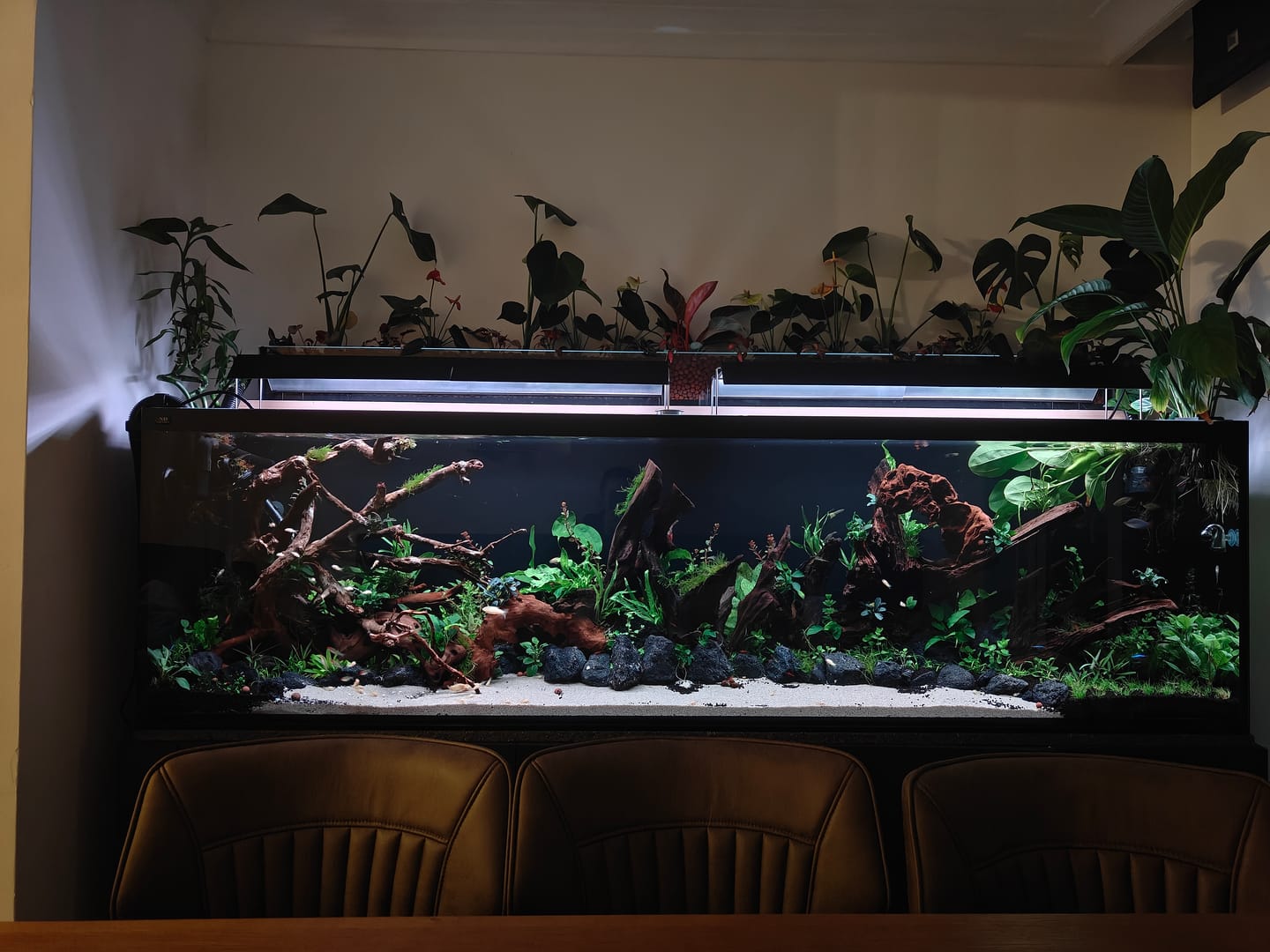 Customer photo review of Chihiros WRGB II Pro LED Light