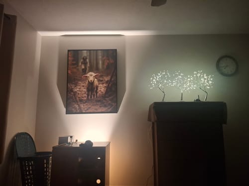 Customer photo review of Jesus Finds The Lost Lamb