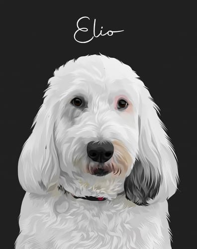 Customer photo review of Pet Art Canvas Wrap