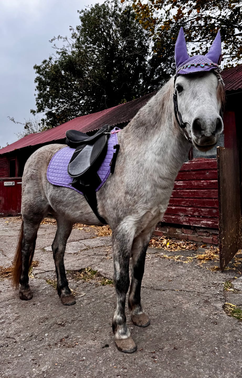 Customer photo review of Unicorn Raindrop Browband