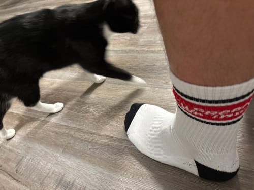 Customer photo review of STRIPE CREW SOCKS