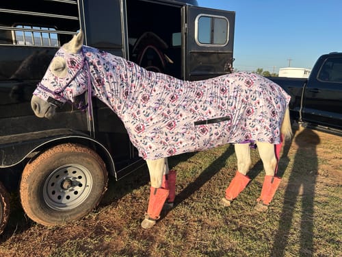 Customer photo review of PURPLE PEONY STRETCHIE