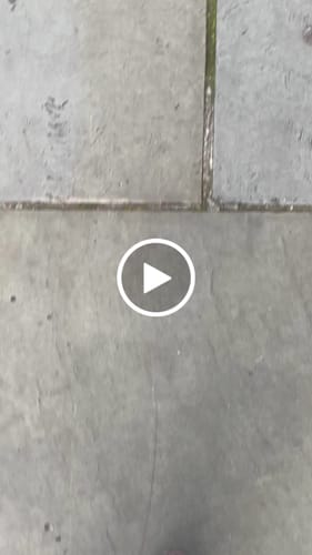 Customer video review of Chanel Ballet Flat Dark Brown Suede