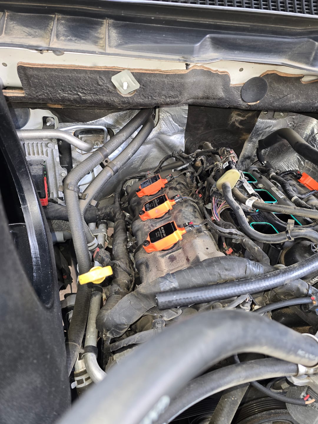 Customer photo review of RIPP V6 High Performance Coil Packs