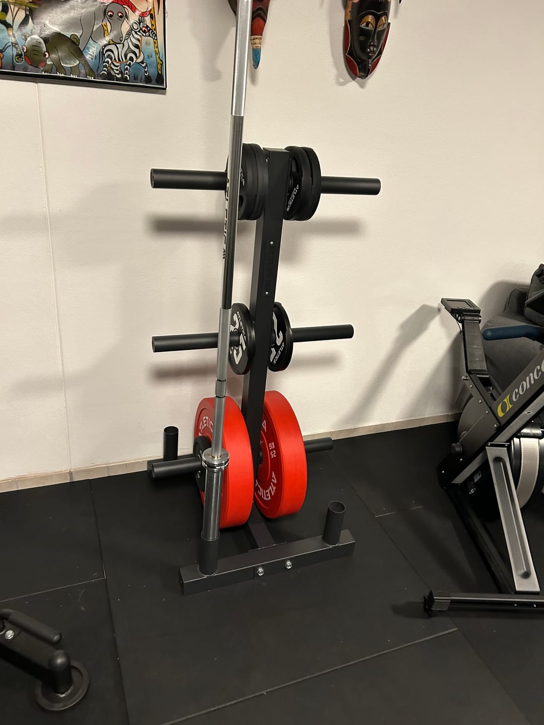 Customer photo review of Bumper Plate Tree - 4 Bar Holders
