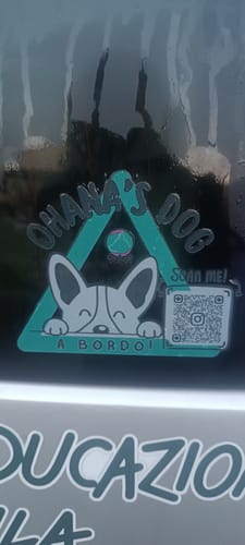 Customer photo review of Sticker "Special UV"