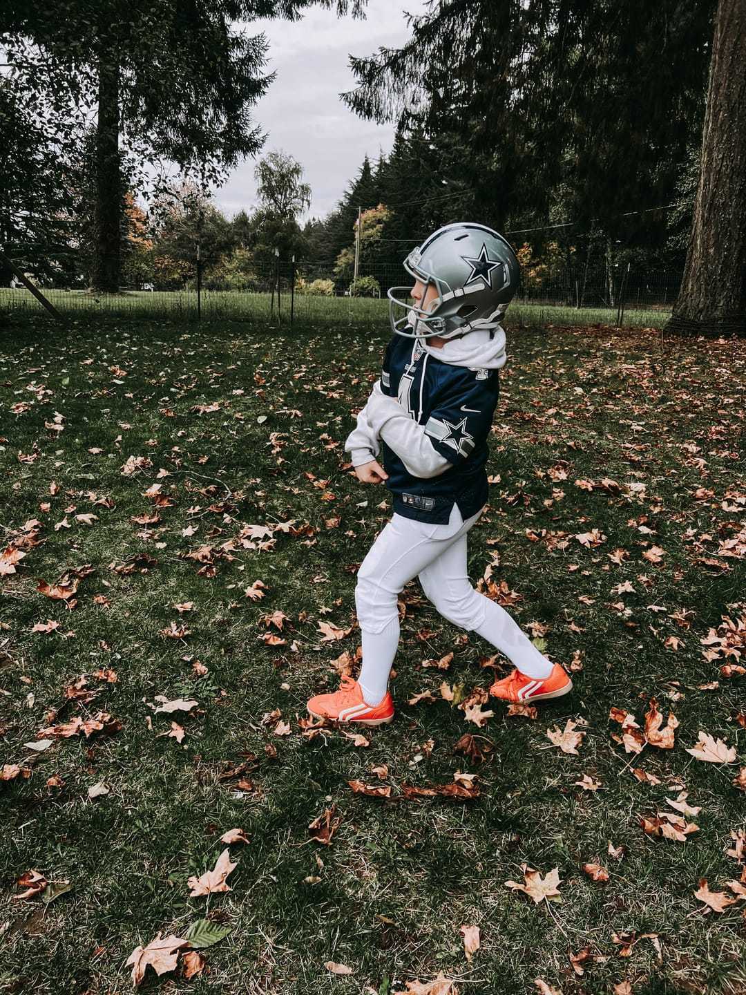 Customer photo review of Dallas Cowboys Riddell Speed Replica Helmet