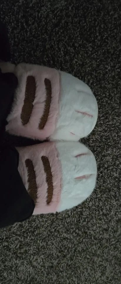 Customer photo review of Warm 3D Cat Paws Furry Slippers