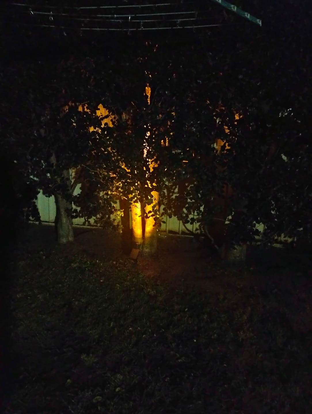 Customer photo review of Solar Ground Spotlights