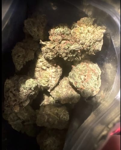 Customer photo review of 7 Grams Wholesale THCA Flower