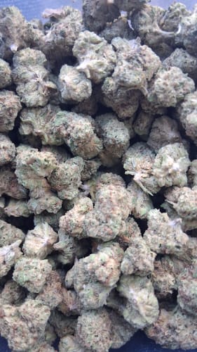 Customer photo review of Cheap THCA Smalls Pound