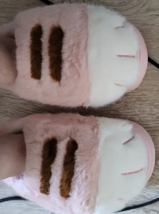 Customer photo review of Warm 3D Cat Paws Furry Slippers