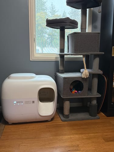 Customer photo review of Litter Box Premium Set × 2