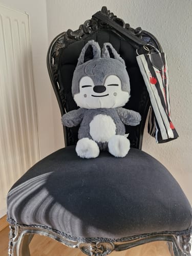 Customer photo review of SKZ Teddybear Plush
