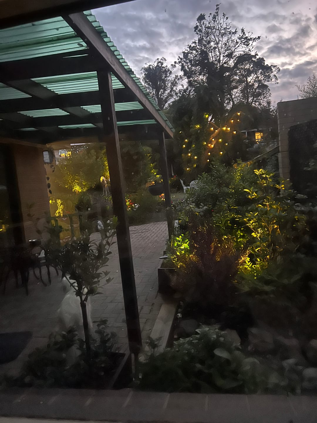 Customer photo review of Solar Ground Spotlights