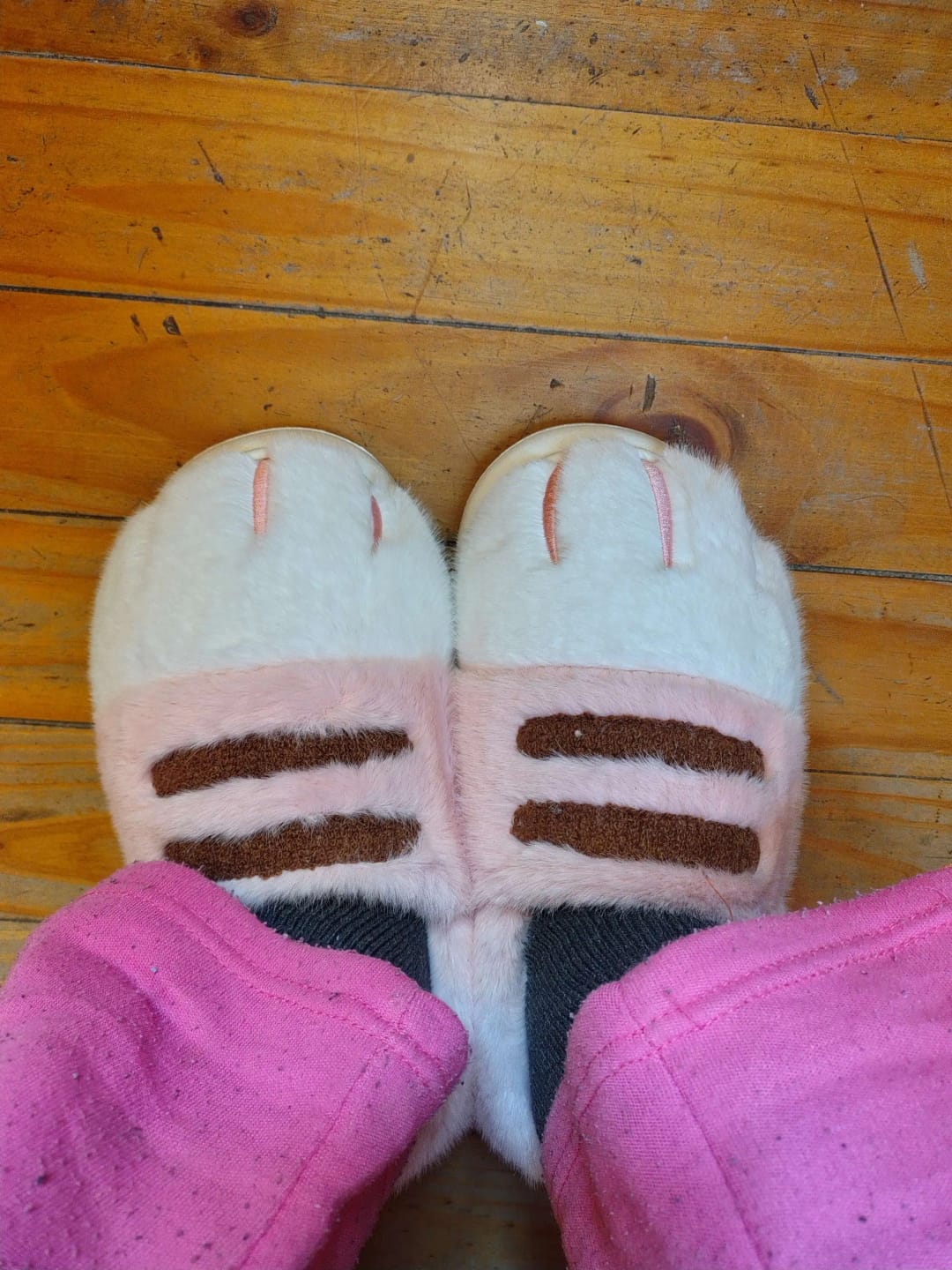 Customer photo review of Warm 3D Cat Paws Furry Slippers