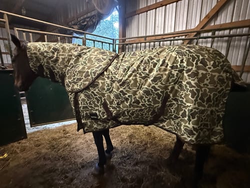 Customer photo review of DUCK HUNT 1200D PERFECT FIT WINTER BLANKET WITH NECK