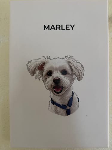 Customer photo review of Modernes Haustier Porträt - Individuelle Leinwand