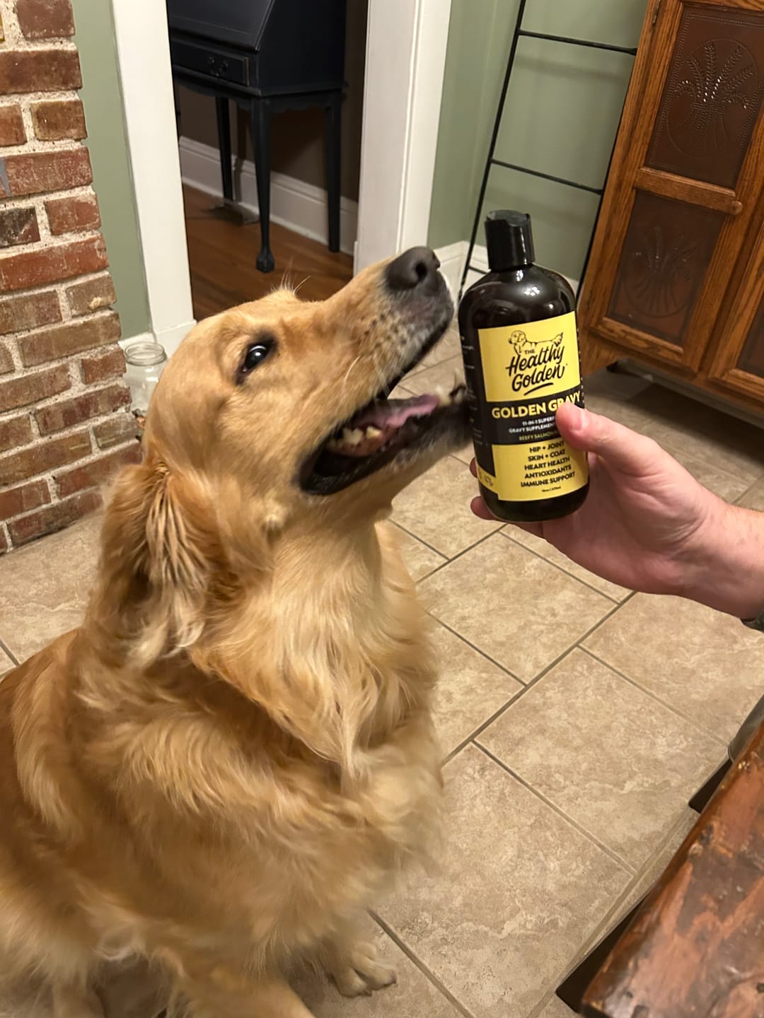 Customer photo review of Golden Gravy