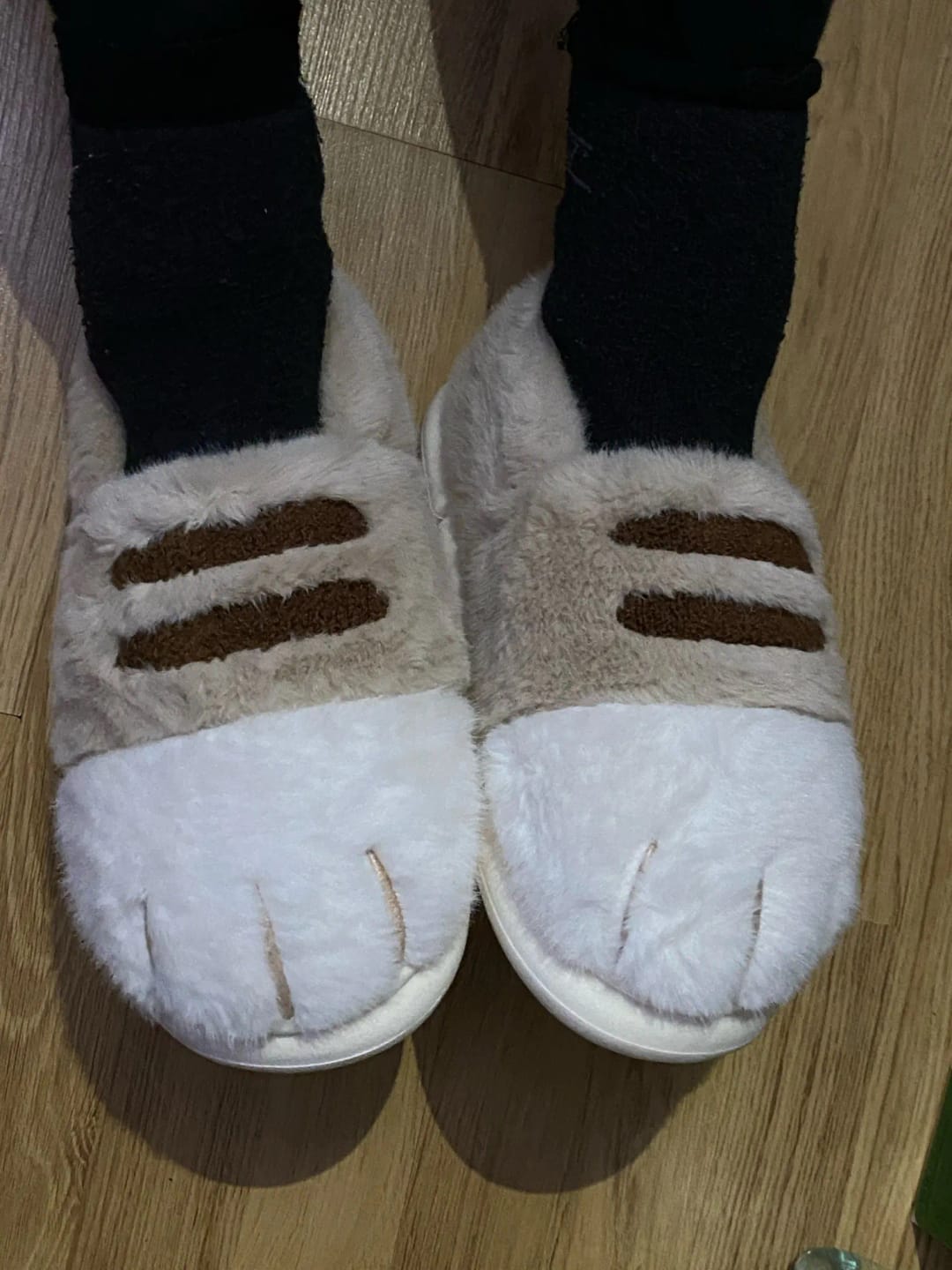 Customer photo review of Warm 3D Cat Paws Furry Slippers