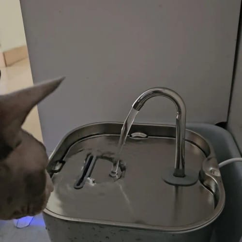 Customer photo review of HydraPurr - Katzenbrunnen aus Edelstahl