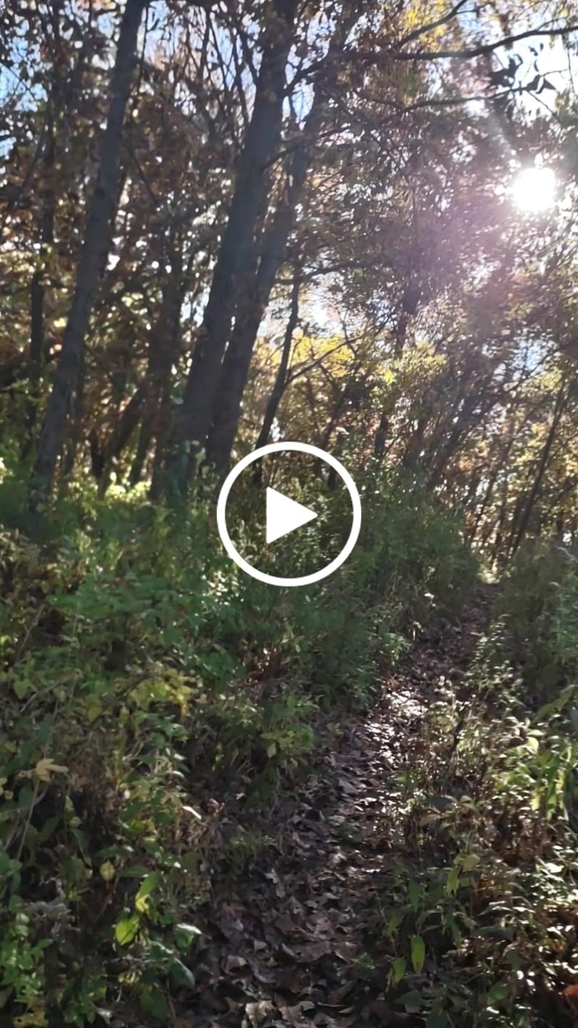 Customer video review of Swift Horse Pro X-6E
