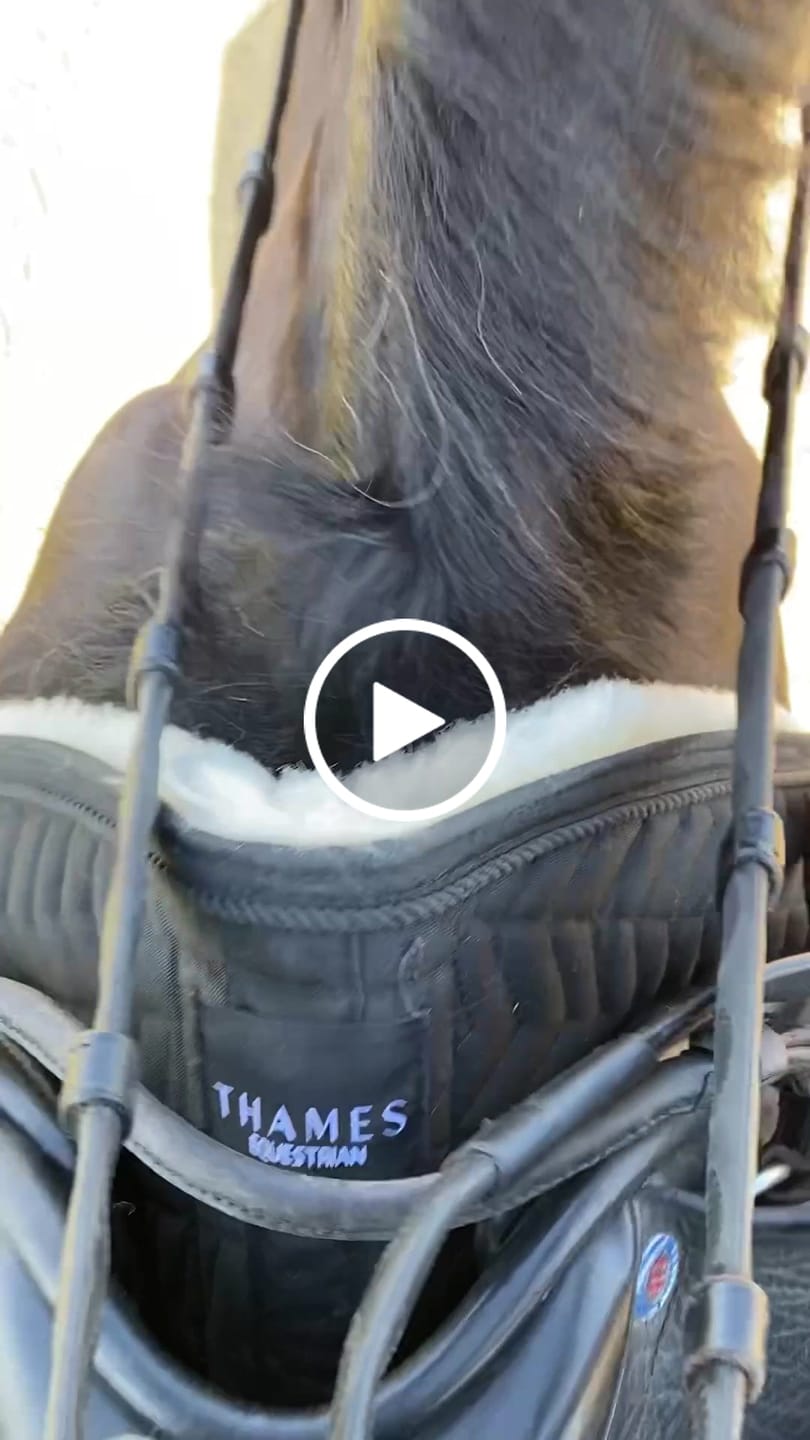 Customer video review of Thames Rothbury Saddle Pad - Limited Edition Gold