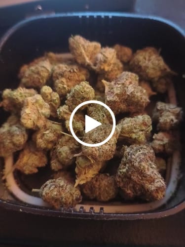 Customer video review of Jolly Ranchers - Bulk - Indica
