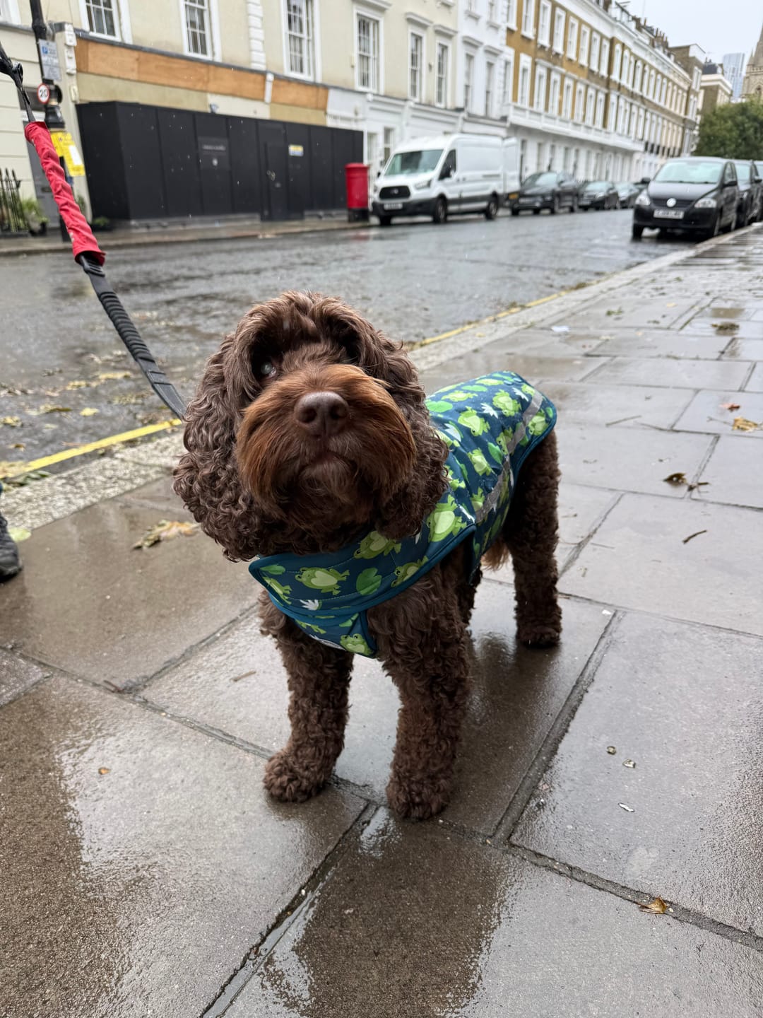 Customer photo review of Rain Jacket - Frogging Fabulous