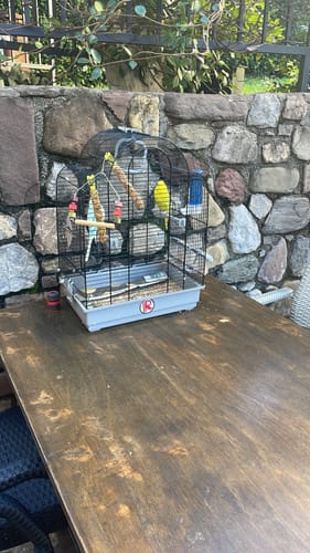 Customer photo review of 500 sticker 5x5 cm - OFFERTA