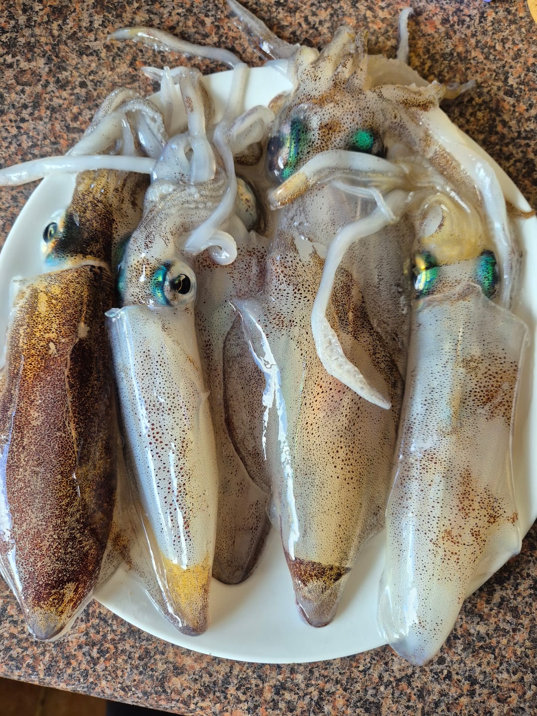 Customer photo review of Super UV Bright Neon Orange Yellow Squid Jigs