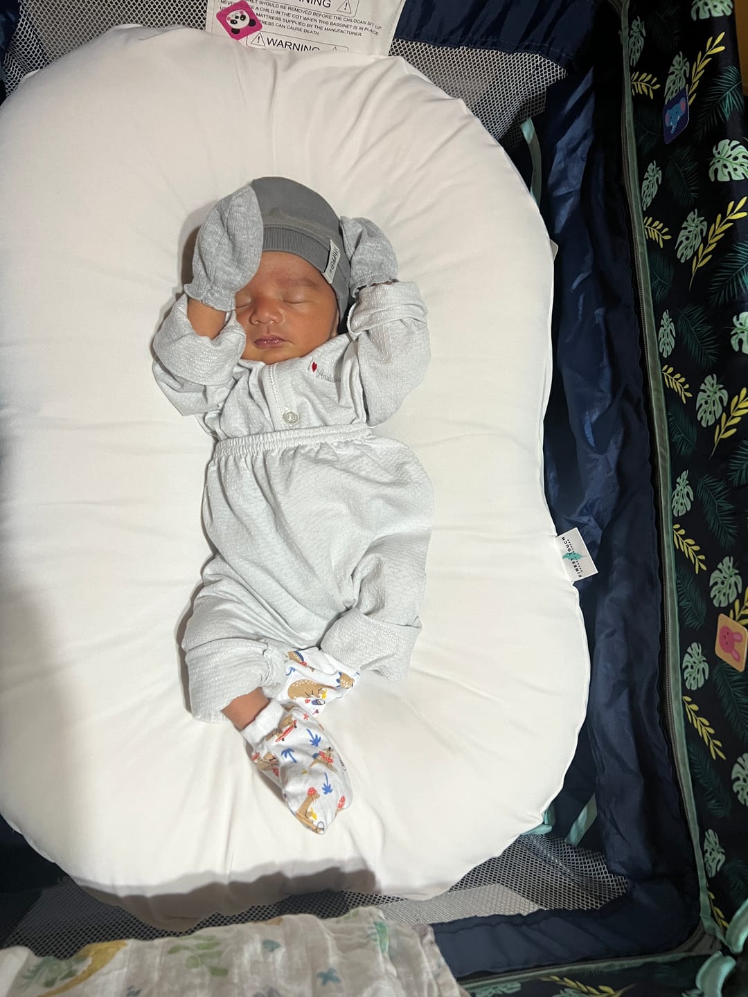Customer photo review of Infant Lounger's External Cover