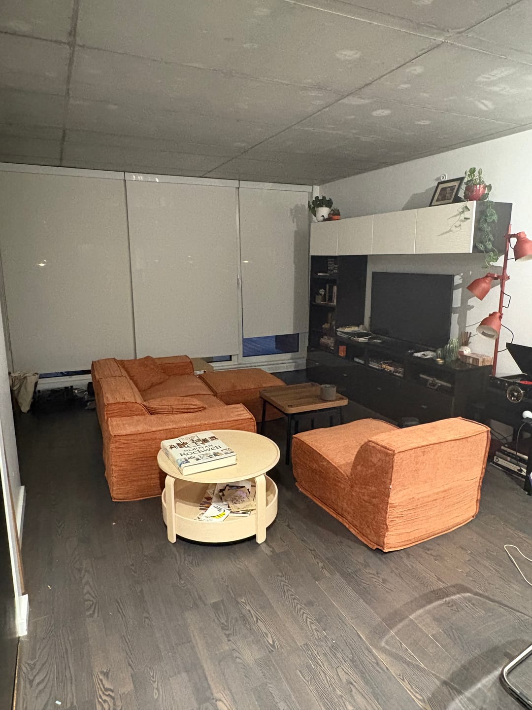 Customer photo review of M1 Sofa Sectional