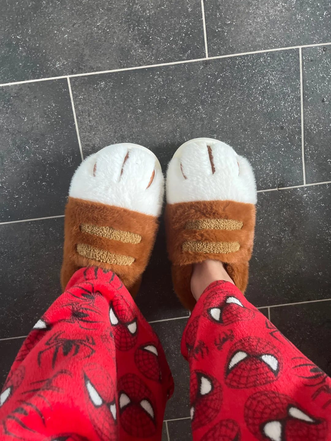 Customer photo review of Warm 3D Cat Paws Furry Slippers