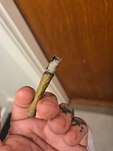 Customer photo review of Pineapple Express THCA Flower