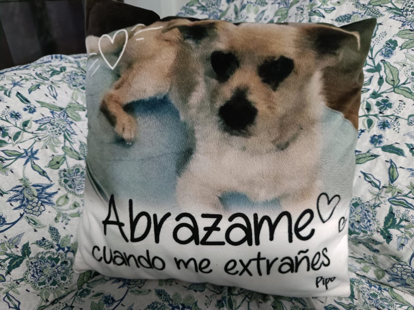 Customer photo review of Abrazame cuando me extrañes - Cojín personalizado