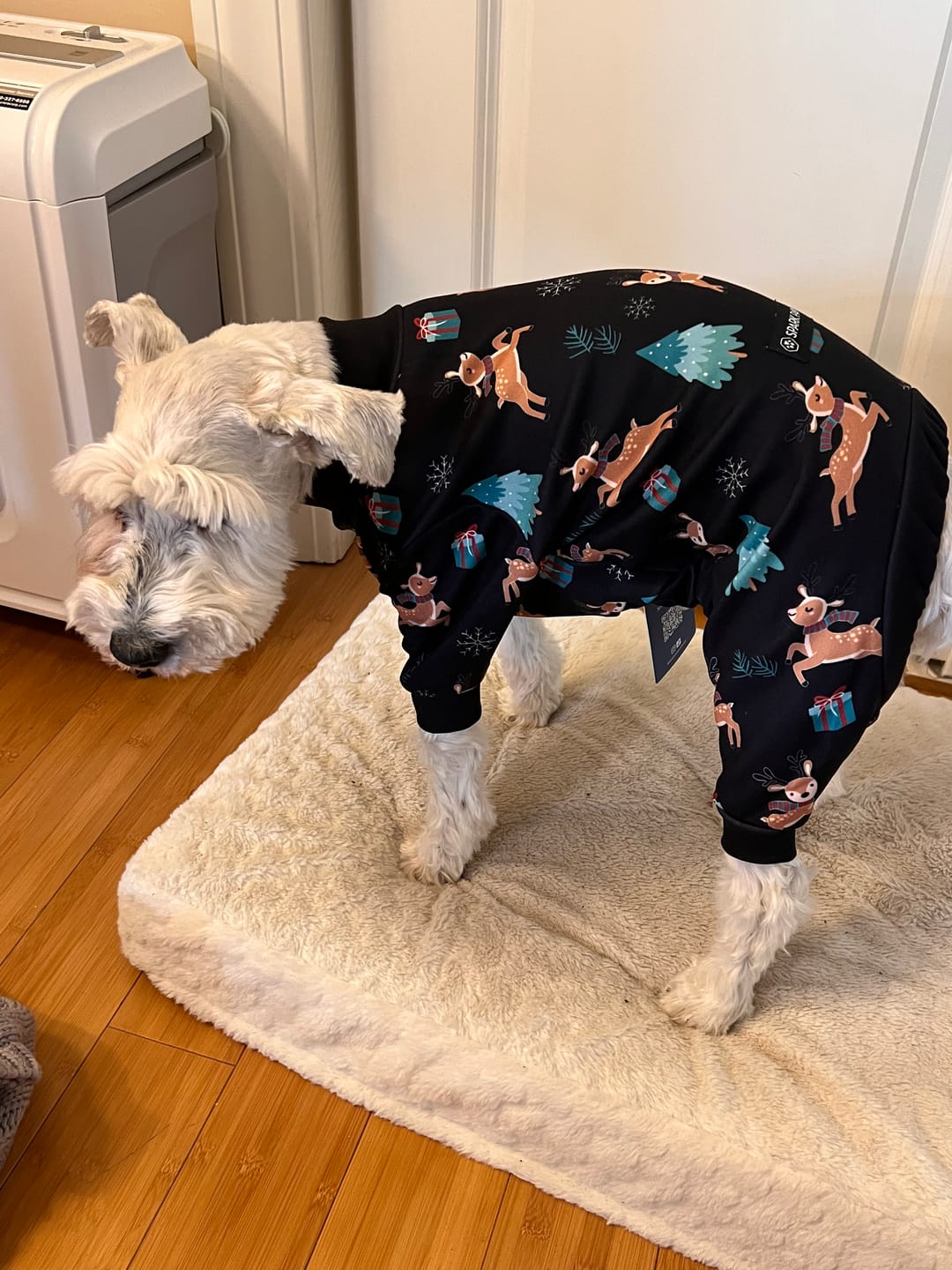 Customer photo review of Dog Christmas Pajama - Reindeers