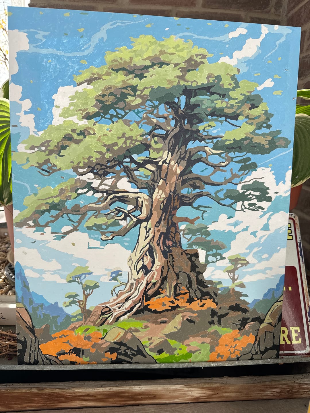 Customer photo review of The Wisest Tree