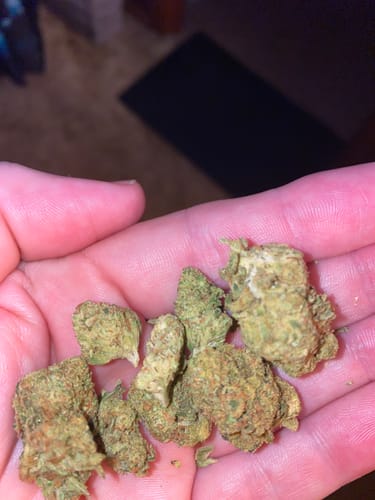 Customer photo review of Shipping Protection by Route