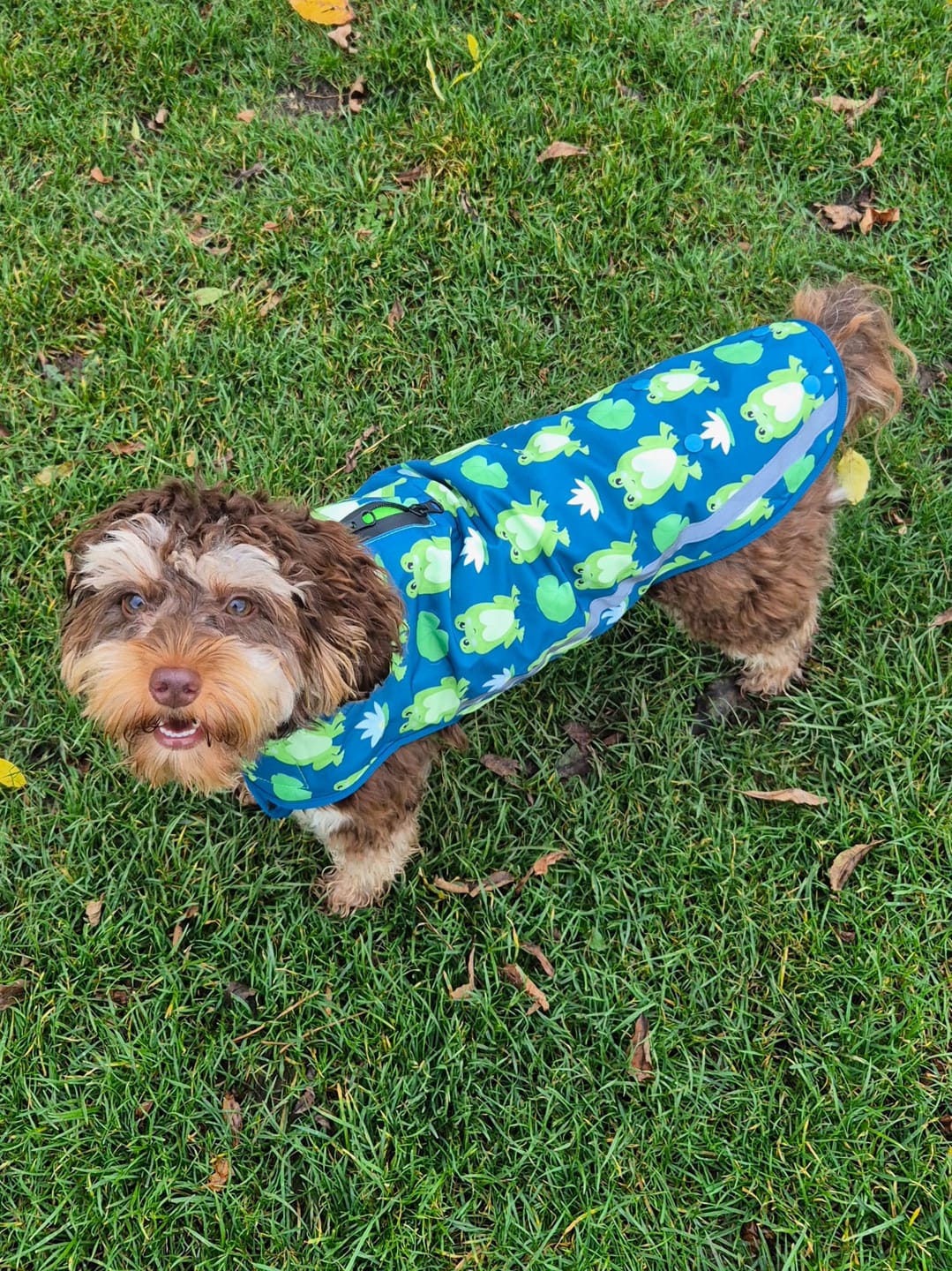 Customer photo review of Rain Jacket - Frogging Fabulous