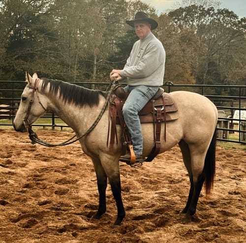 Customer photo review of Gut X » up to 30% Off